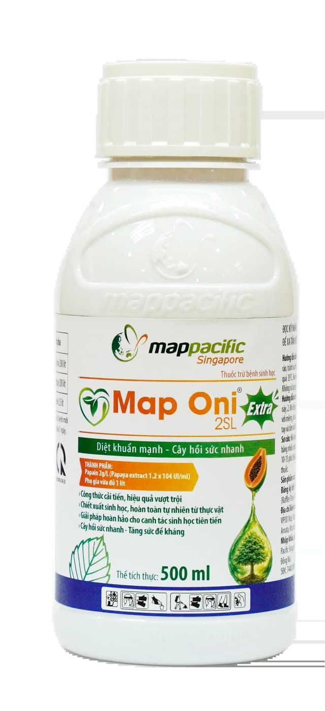 Map Oni 2SL Extra - Bước Đột Phá Của Map Pacific Với Papain Hoạt Độ Cao 1.2 x 10⁴ UI/ml Trên Bệnh Vi Khuẩn