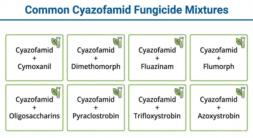 Tất Tần Tật Về Cyazofamid và Các Hoạt Chất Phối Trong Danh Mục Thuốc Trừ Bệnh Mới Trên Cây Trồng