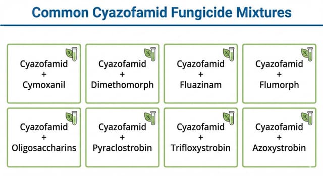 Tất Tần Tật Về Cyazofamid và Các Hoạt Chất Phối Trong Danh Mục Thuốc Trừ Bệnh Mới Trên Cây Trồng