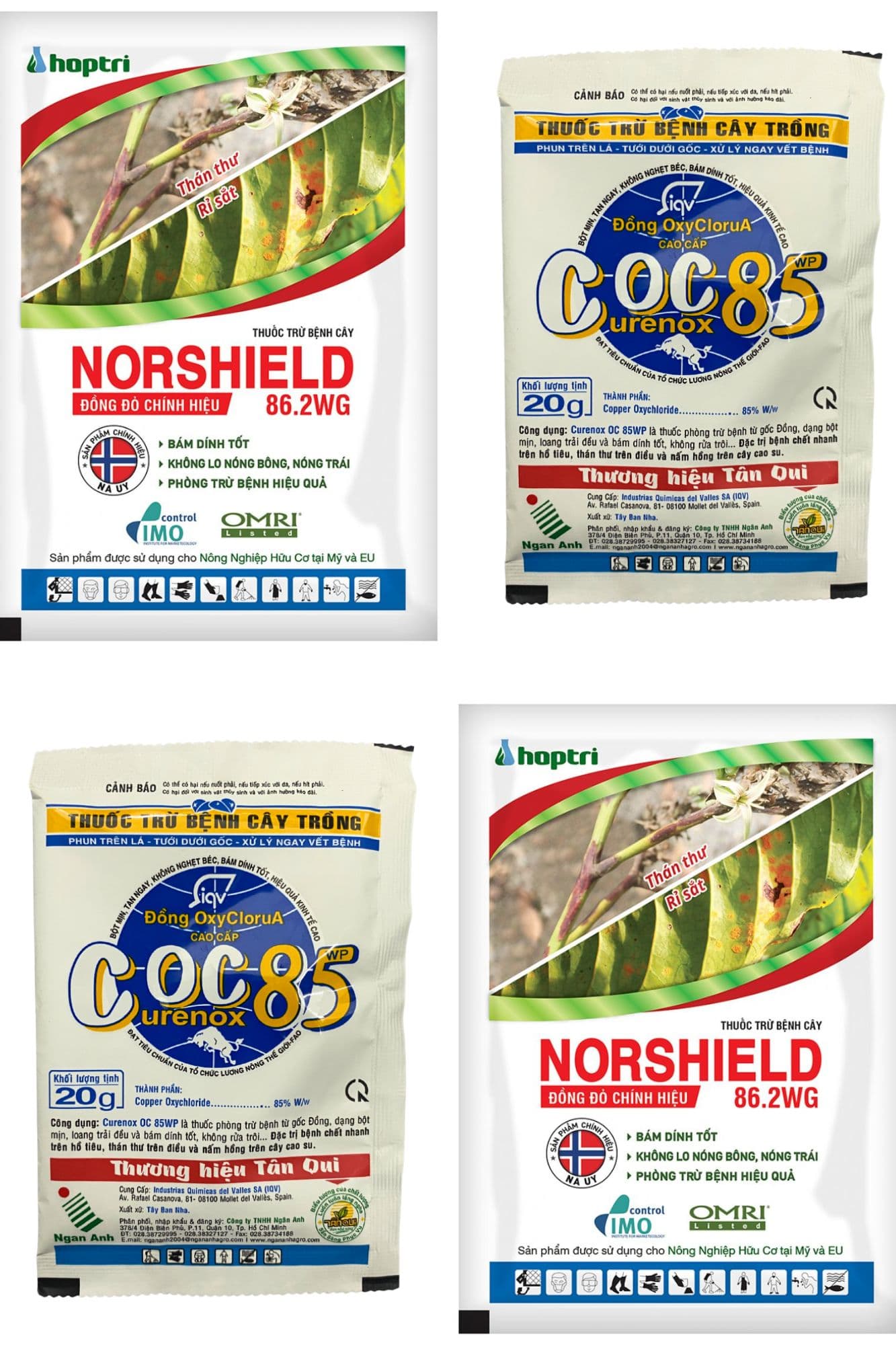 Đồng Xanh Hay Đồng Đỏ: Dùng Sao Cho Đúng?