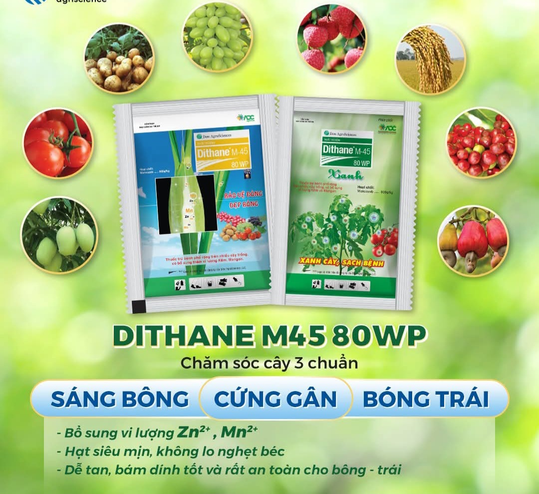 Xanh Hay Vàng: Thuốc Trừ Nấm Phổ Biến Nhưng Nhiều Nông Dân Vẫn Không Biết 2 Loại Này Khác Nhau Cái Gì?