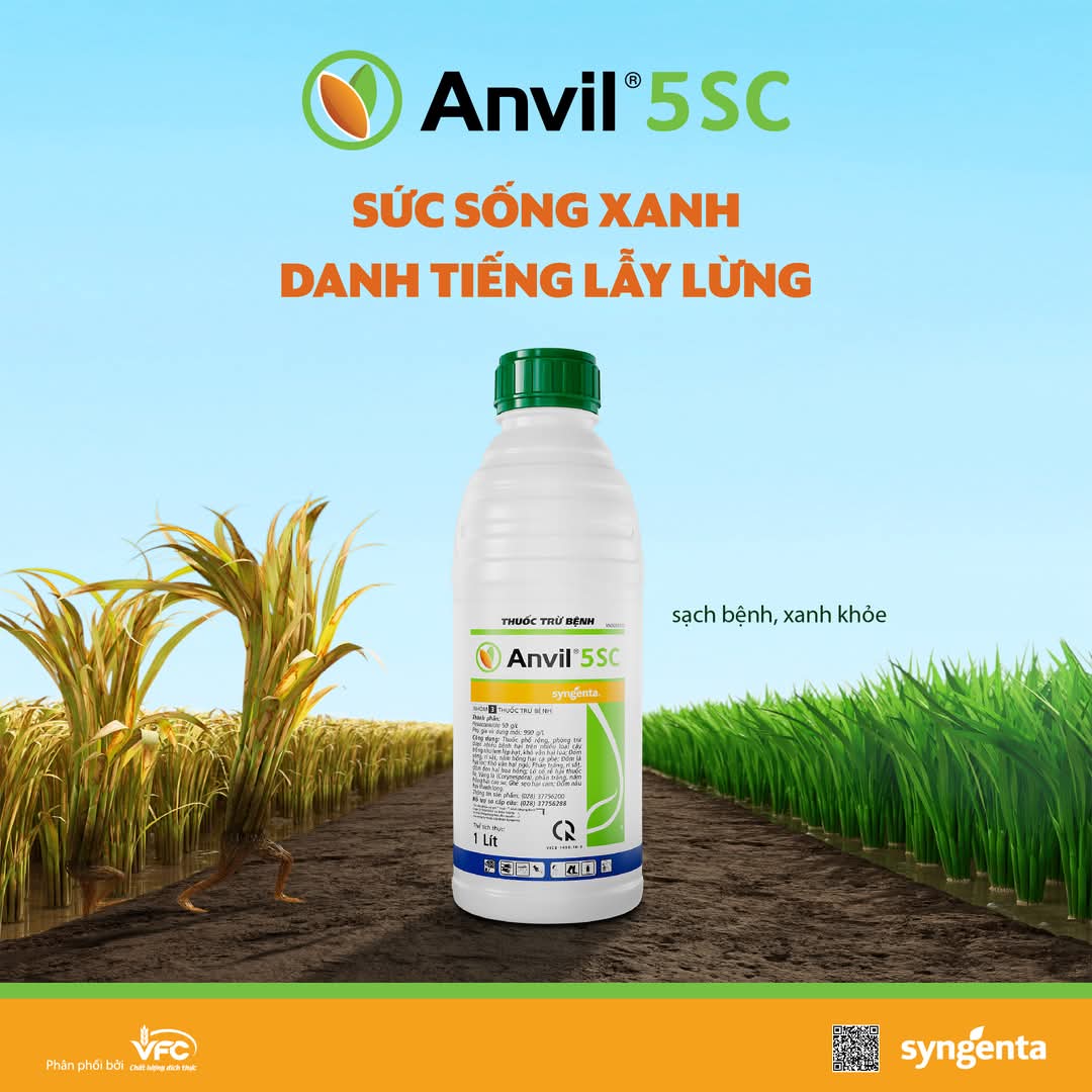 Hexaconazole - Đâu Phải Cứ Cao Hơn Là Hiệu Quả Hơn? Bí Mật Đằng Sau Sản Phẩm Anvil 5SC