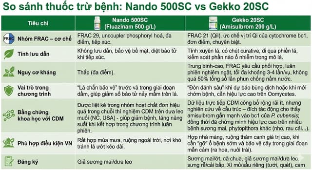 So Sánh Nando 500SC Và Gekko 20SC Về Môn Nấm Nước, Lấy Ví Dụ Trên Giả Sương Mai Ở Dưa Leo 