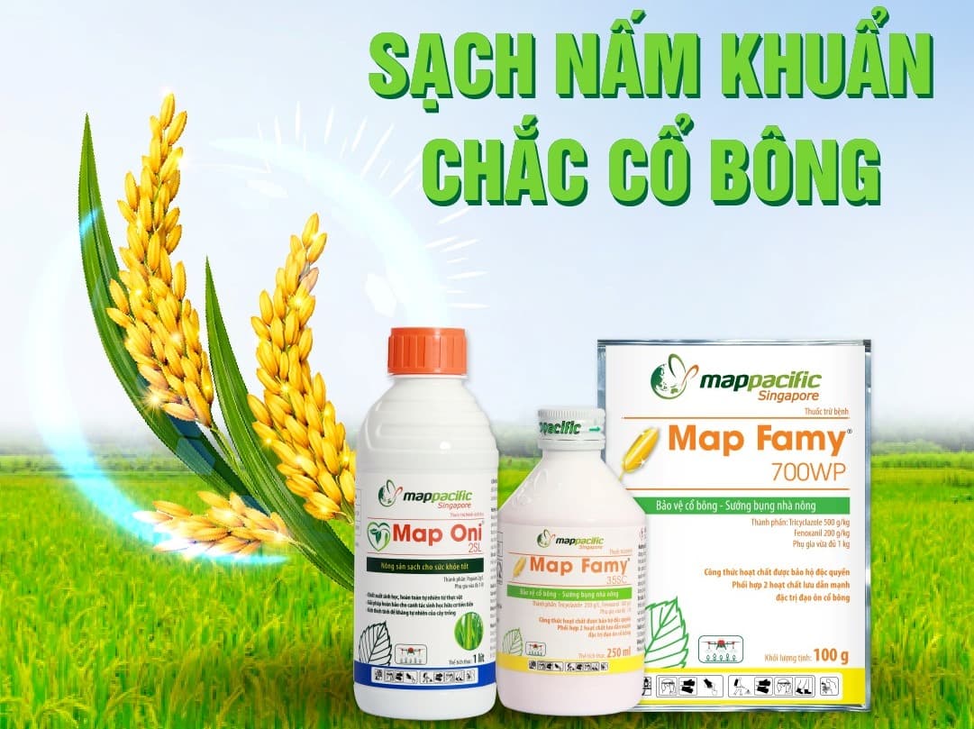 Thuốc Đạo Ôn "Singapore" Trị Đạo Ôn Có Ngon Hơn Thuốc Khác Không?