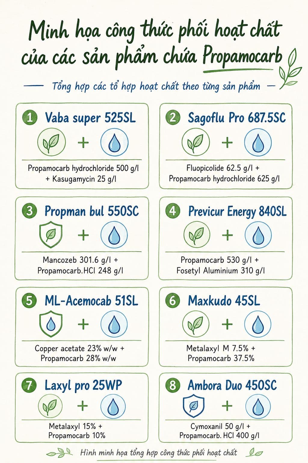 Dành Cho Những Nông Dân Đại Lý Yêu Thích Hoạt Chất Propamocarb Phối Trong Cuộc Chiến Chống Nấm Phytophthora