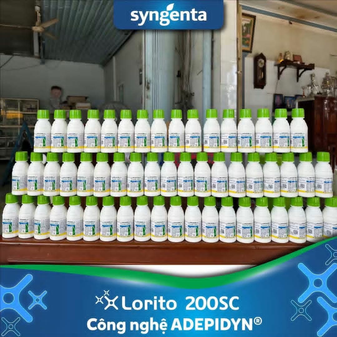 Vì Sao Syngenta Không Đẩy Bion 50WG Mà Chọn Lorito 200SC Cho Cháy Bìa Lá Lúa? Thử Phân Tích Một Chút